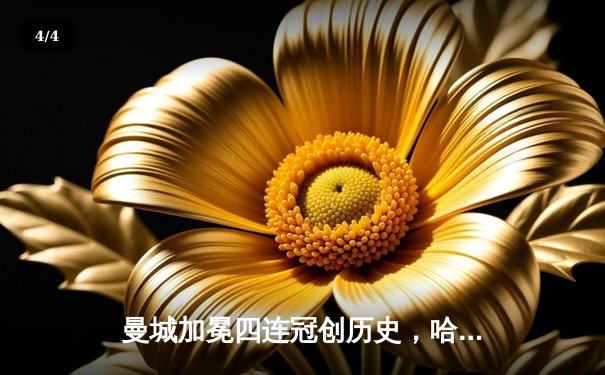 曼城加冕四连冠创历史，哈兰德双响锁定胜局 - 4